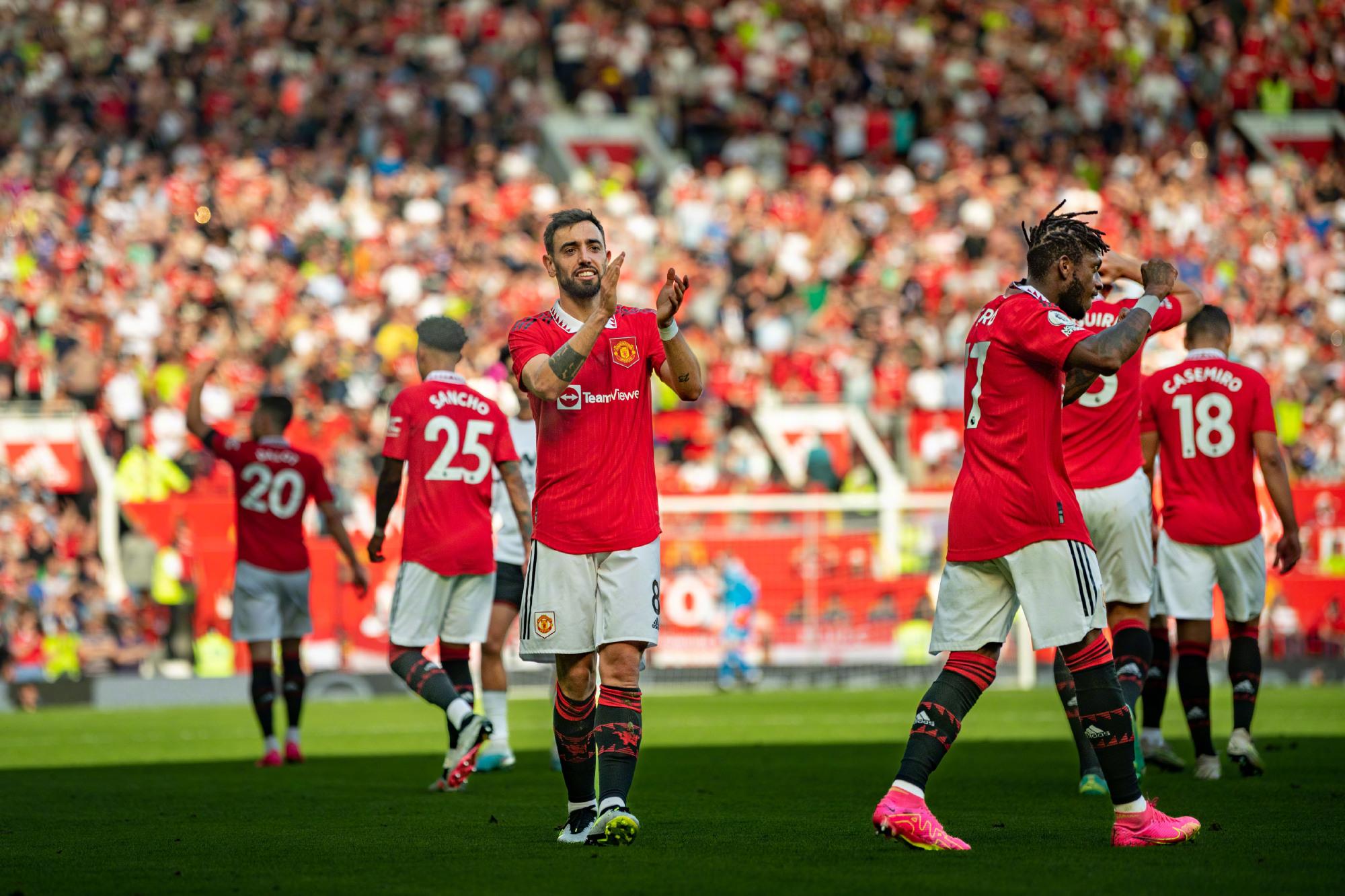 蒂斯引进安 蒂斯引进安